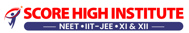 Score High Institute